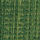Sap Green